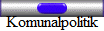 Komunalpolitik