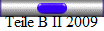 Teile B II 2009